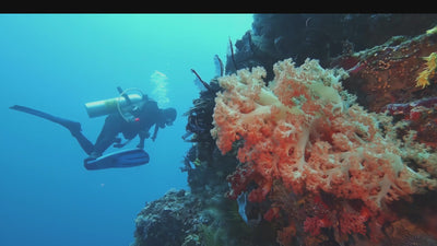 Plongeur avec équipement complet de plongée explorant les fonds marins -Espace Cagoules